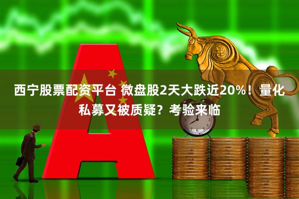 西宁股票配资平台 微盘股2天大跌近20%！量化私募又被质疑？考验来临