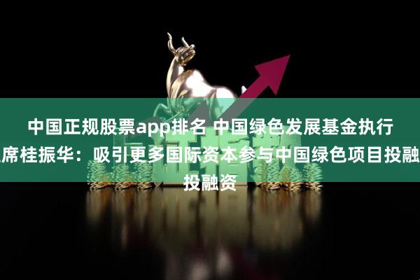 中国正规股票app排名 中国绿色发展基金执行主席桂振华：吸引更多国际资本参与中国绿色项目投融资