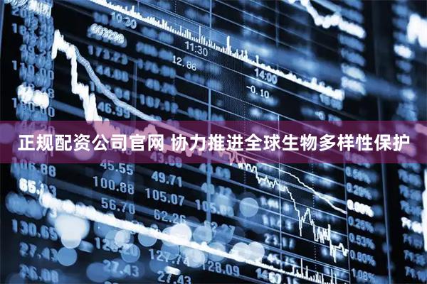 正规配资公司官网 协力推进全球生物多样性保护